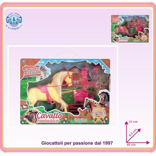 CAVALLO IN BOX C/ACC.