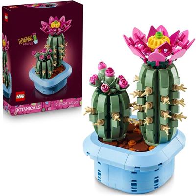 CACTUS IN FIORE