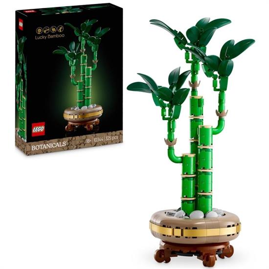 BAMBU' DEL BUON AUSPICIO