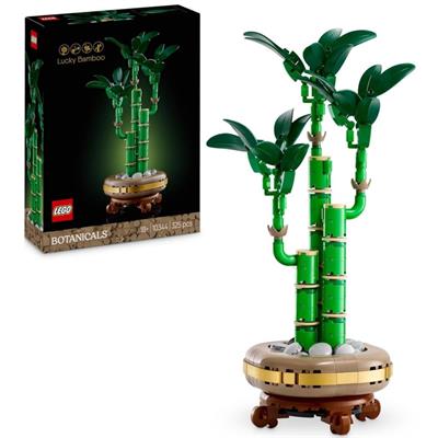 BAMBU' DEL BUON AUSPICIO