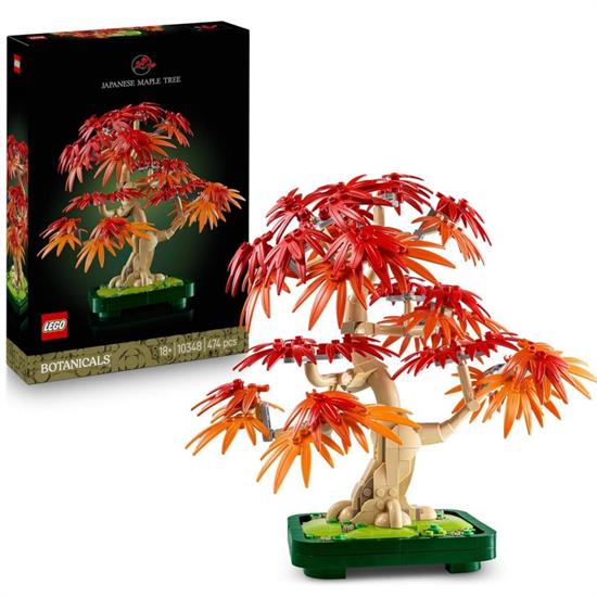 BONSAI DI ACERO ROSSO GIAPPONESE