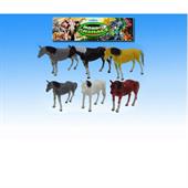 BUSTA CAVALLI 6 Pz C/ACC.