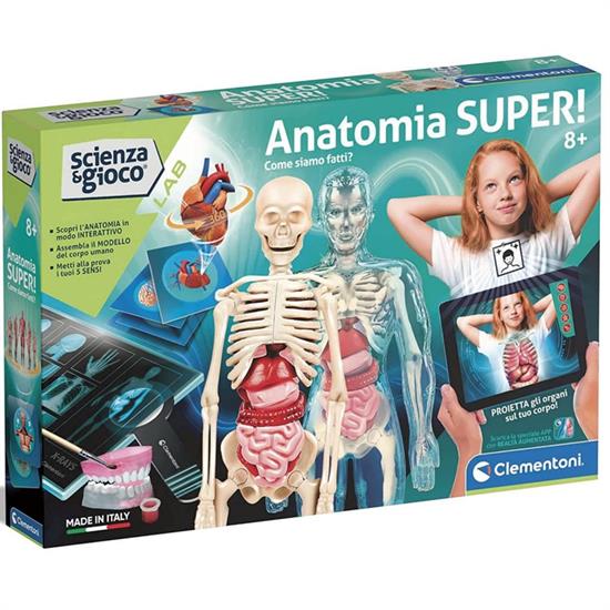 ANATOMIA