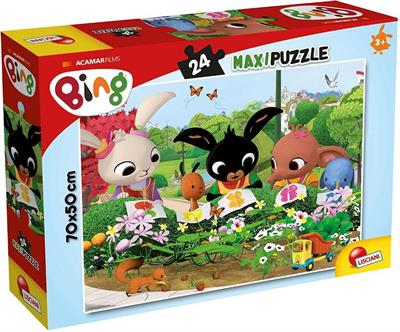 PZL SUPERMAXI 24 BING