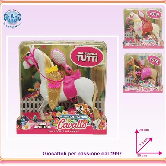 SET CAVALLO CON ACC.
