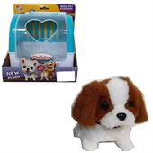 CUCCIOLO C/TRASPORTINO B/O