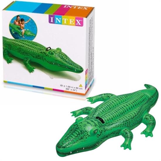 CAVALCABILE ALLIGATORE 168 Cm