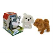 PRIMO CUCCIOLO LUCI E SUONI