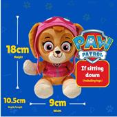 PAW PATROL SKYE Cm20