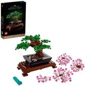 ALBERO BONSAI
