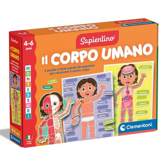 MONTESSORI IL CORPO UMANO