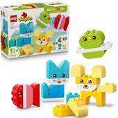 ANIMALI DOMESTICI CREATIVI