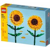 GIRASOLI