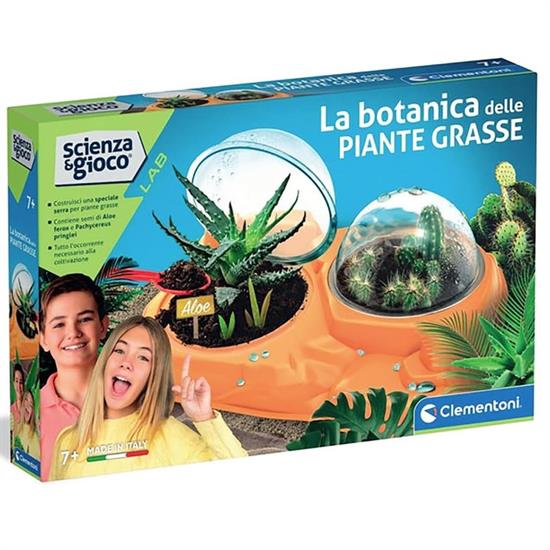 PIANTE GRASSE