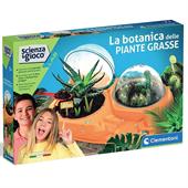 PIANTE GRASSE