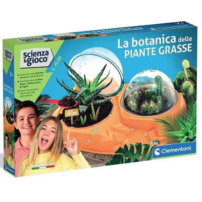 PIANTE GRASSE